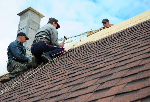 Best Flat Roof Repair Services  in Big Le, AK