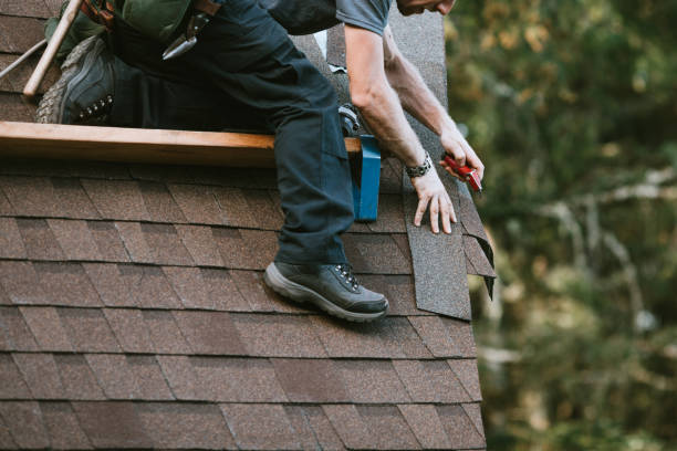 Roof Gutter Cleaning in Big Lake, AK