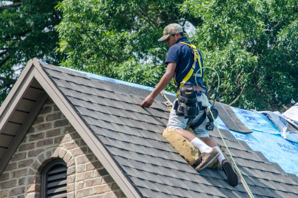 Professional Roofing Contractor in Big Lake, AK